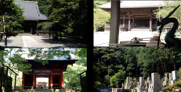 Japanese Temple And Cemetery (5-Pack)