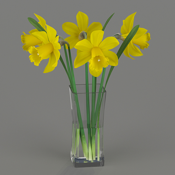 Yellow daffodils in - 3Docean 27099164