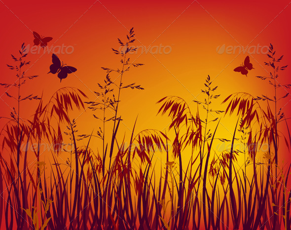 Sunset Background - Flowers & Plants Nature