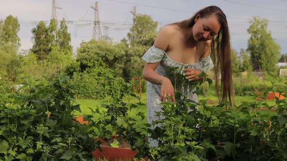 Woman Touching Tree Branches in Garden