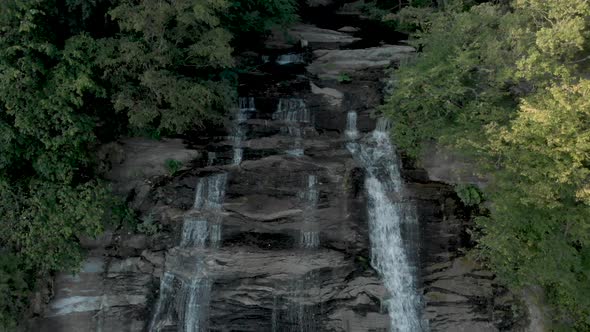 Forest Waterfall 