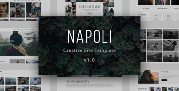 Napoli - Modern - ThemeForest 18940331