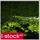 Green Pond - VideoHive Item for Sale