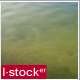Green Water - VideoHive Item for Sale