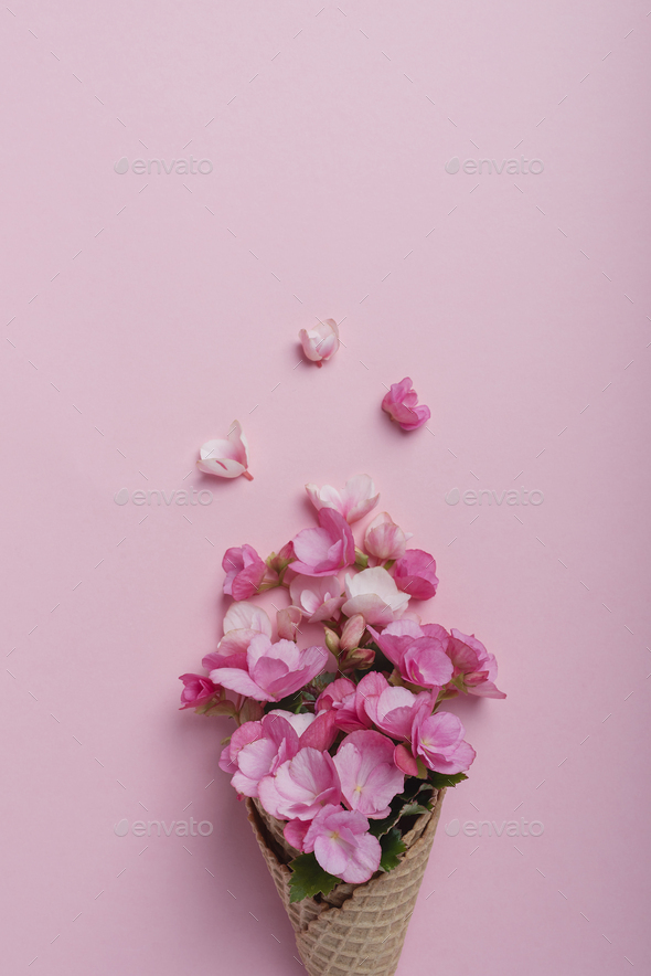 Summer minimal concept. - Stock Photo - Images