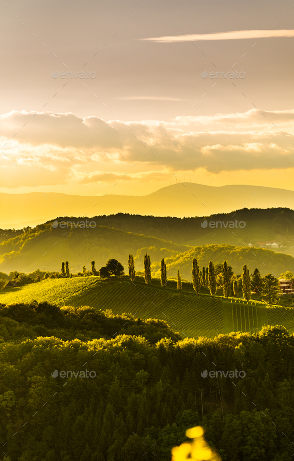South styria vineyards landscape, near Gamlitz, Austria, Eckberg, Europe. Grape hills view from wine - Stock Photo - Images
