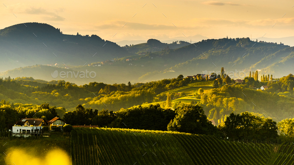 South styria vineyards landscape, near Gamlitz, Austria, Eckberg, Europe. Grape hills view from wine - Stock Photo - Images
