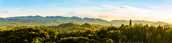 Panoramic view from vineyard to green hills of south styrian wine route in Austria in sunset. Glanz - Stock Photo - Images