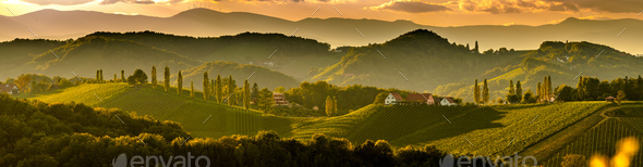South styria vineyards landscape, near Gamlitz, Austria, Eckberg, Europe. Grape hills view from wine - Stock Photo - Images