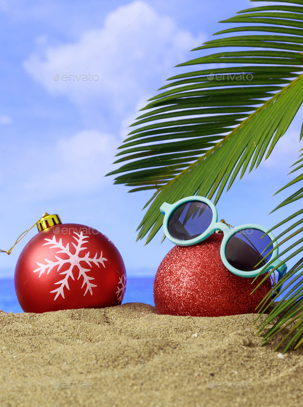 christmas palm tree beach