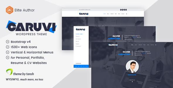 Caruvi - Personal - ThemeForest 25397104