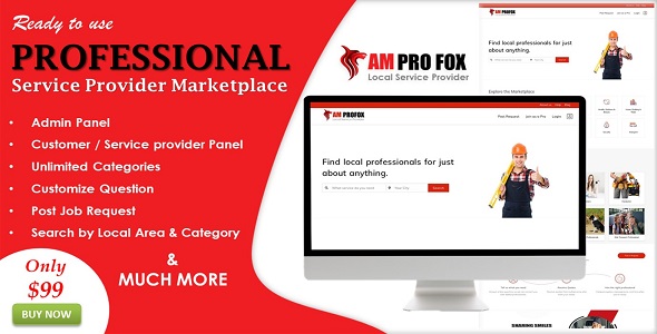 Professional Service Provider Marketplace in ASP.NET