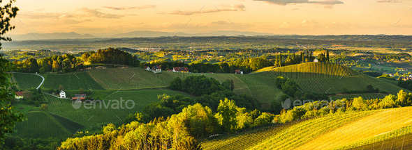 Sunset over South Styria vineyard landscape in Steiermark, Austria - Stock Photo - Images