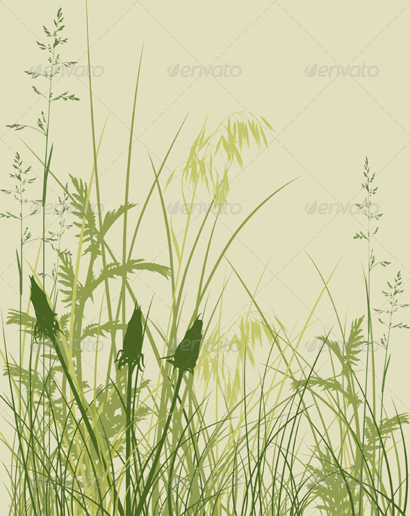 Green Grass Background - Flowers & Plants Nature