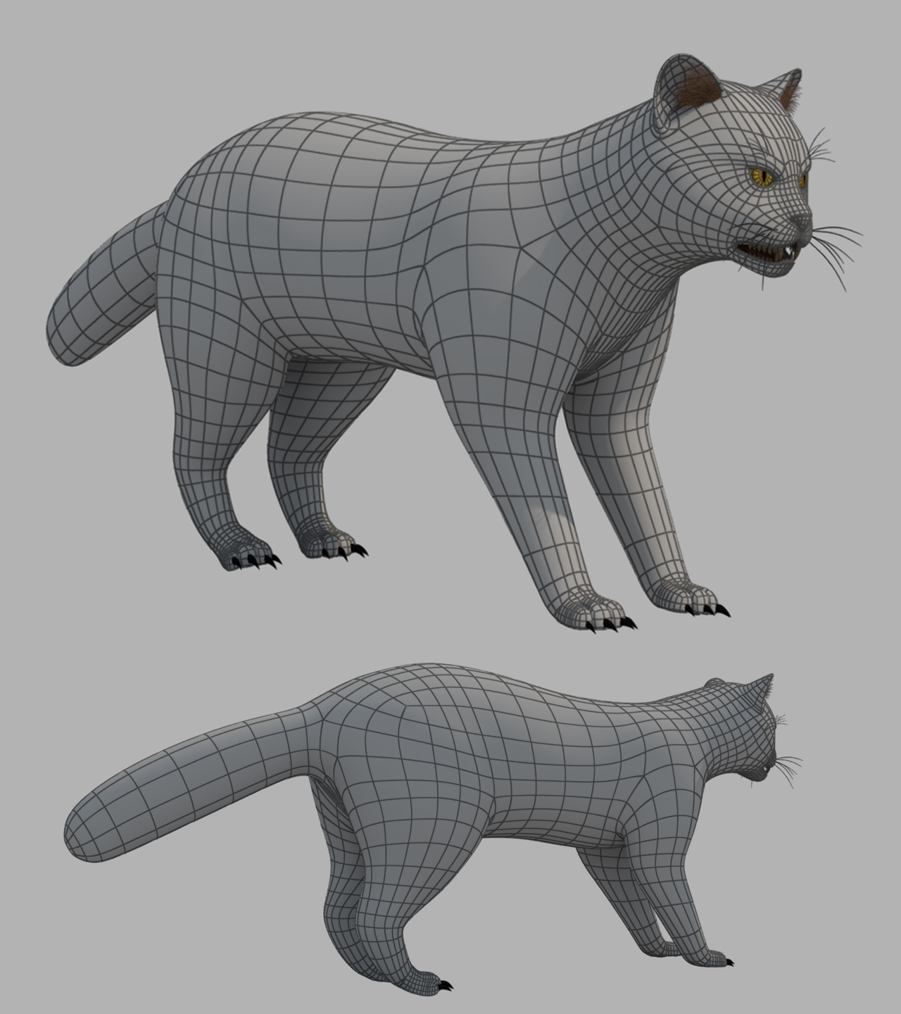 Cat by ostrich33 | 3DOcean