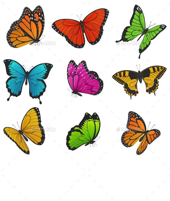 Collection Of Colorful Butterflies, Vectors GraphicRiver