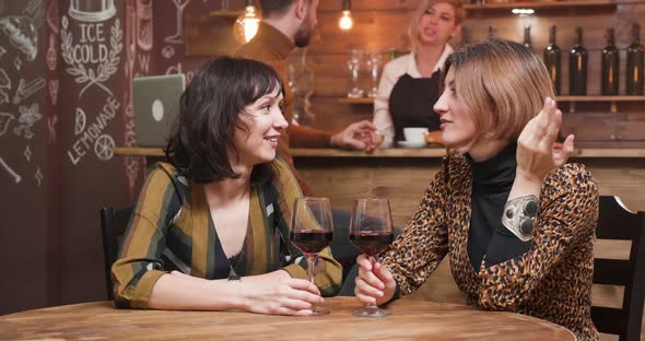 Young Attractive Women Laughing While Spending Time in a Fiendly Atmosphere alt
