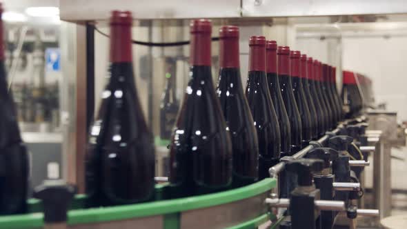 Red Wine bottles on a conveyor belt in a wine bottling factory.