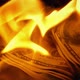 Handful Of Hundred Dollar Bills On Fire - VideoHive Item for Sale