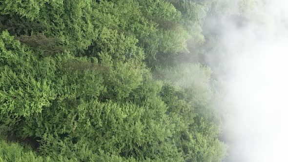 Vertical Video of Fog in the Mountains alt