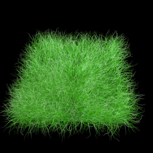 Grass - 3Docean 2543349