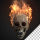 Burning Scull - VideoHive Item for Sale