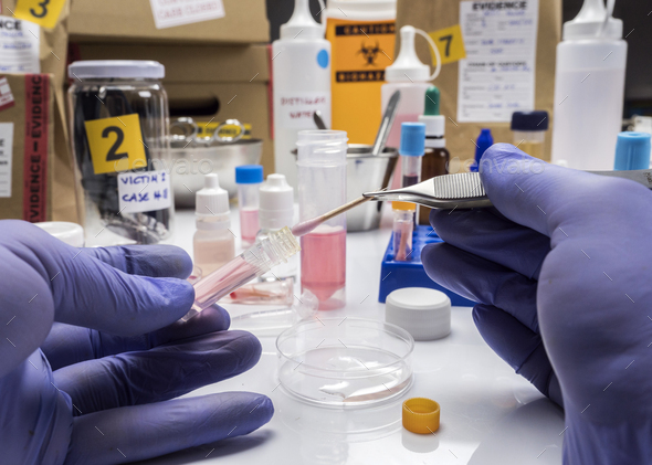 Specialized criminalistic police performs hematological analysis - Stock Photo - Images