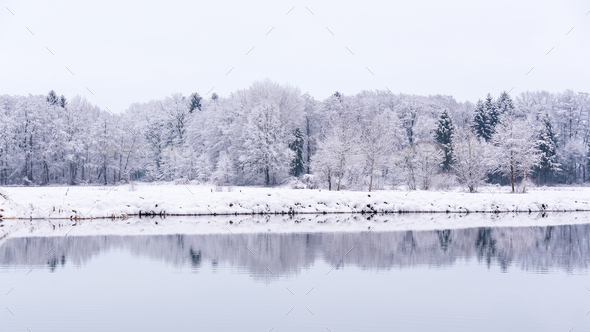 White winter landscape forest and fields countryside - Stock Photo - Images