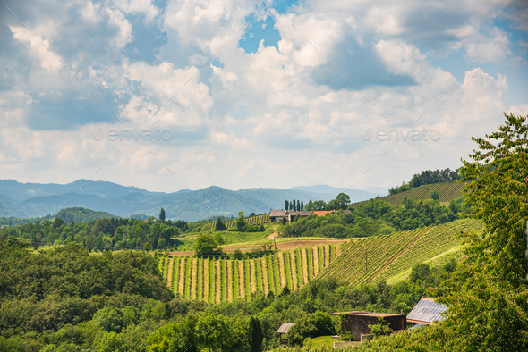 Sulztal, Styria / Austria - 2 June 2018: Vineyards Sulztal Leibnitz area famous destination wine - Stock Photo - Images