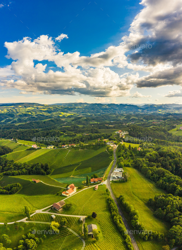 South styria vineyards aerial panorama landscape. Grape hills view from wine street in summer - Stock Photo - Images