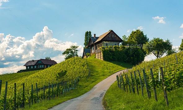 Beautiful landscape of Austrian vineyards in south Styria. Famous Tuscany like place to visit - Stock Photo - Images