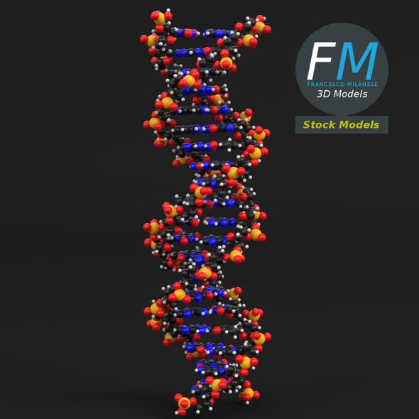 DNA Molecules - 3Docean 27303222
