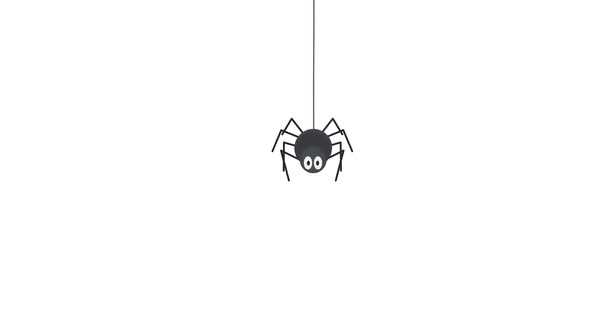 Cartoon Character Spider