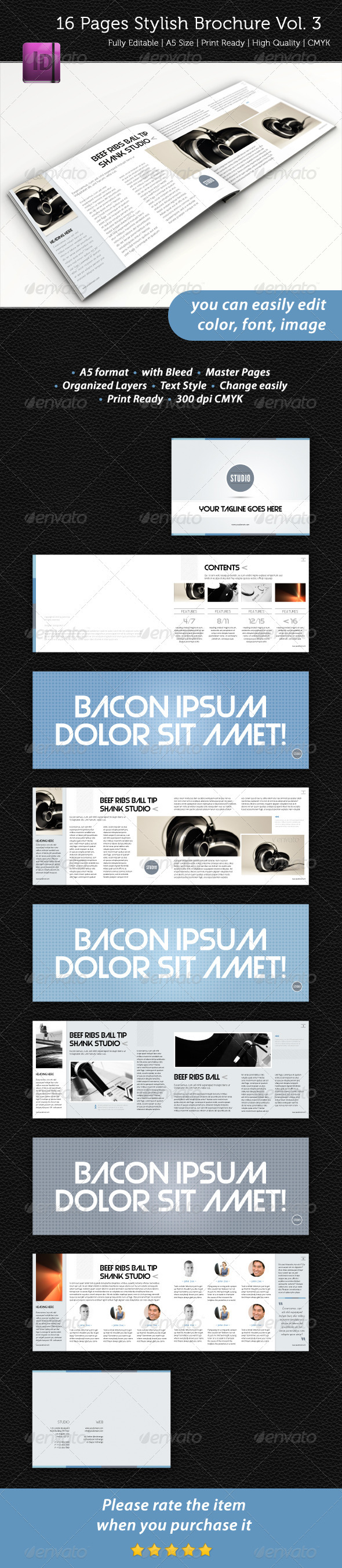 16 Pages Stylish Brochure Vol. 3 - Informational Brochures