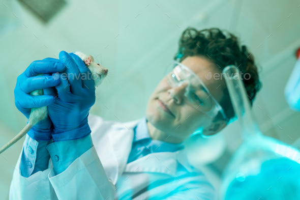 Preparing rat for pharmaceutical experiment