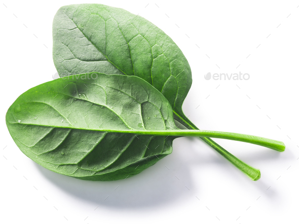 Fresh spinach leaves (Spinacia oleracea) isolated w clipping paths, top view - Stock Photo - Images