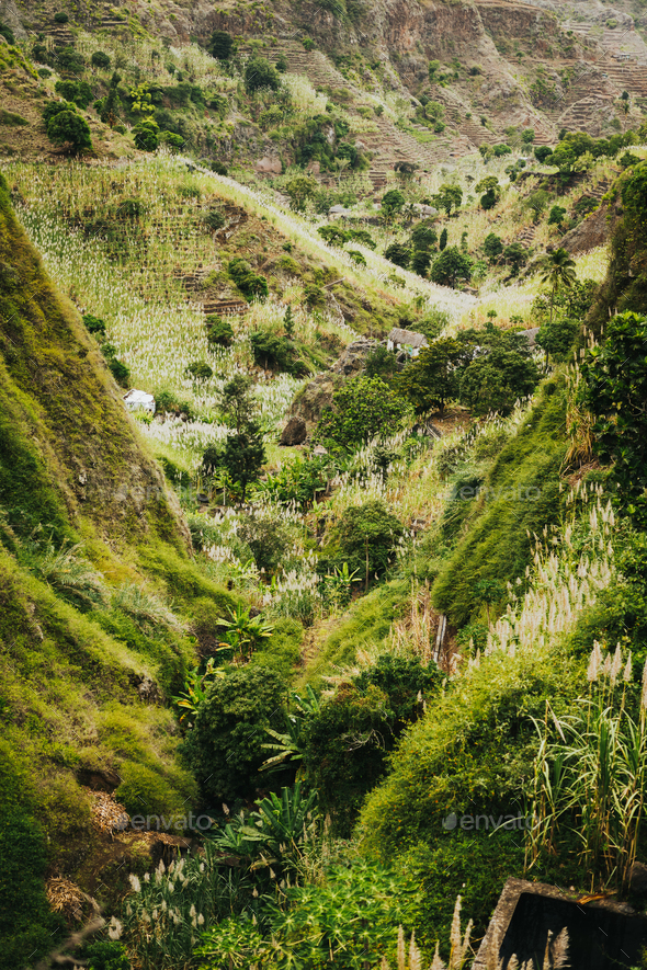 Cape Verde. Landscape of vegetation and mountains and some local dwellings of the Paul Valley - Stock Photo - Images