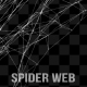 Spider Web Frame - VideoHive Item for Sale