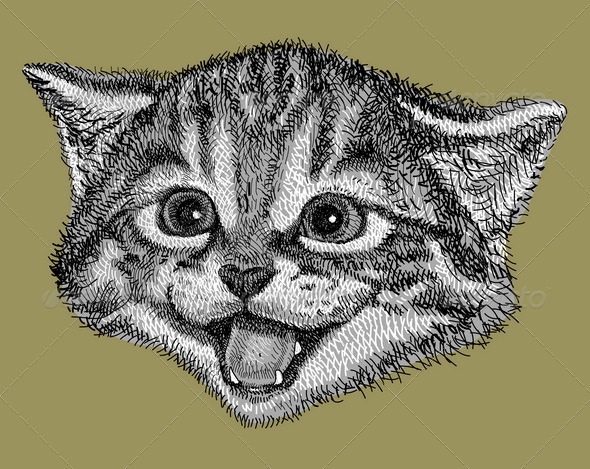 Cat drawing vector
