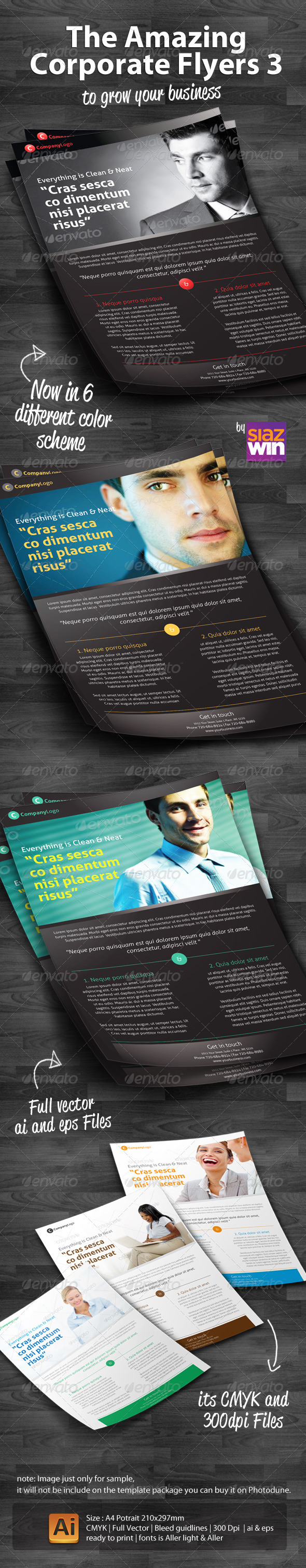 The Amazing Corporate Flyers 3 - Corporate Flyers