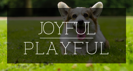 Joyful & Playful