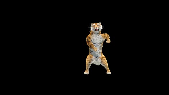 Tiger Dancing HD alt