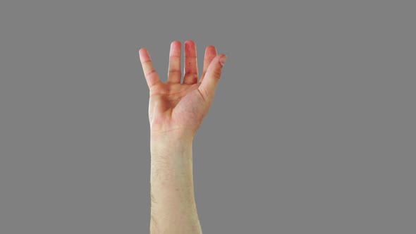 Close-up of hands gesturing alt