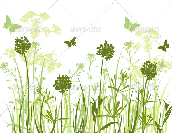 Green Grass Background - Flowers & Plants Nature