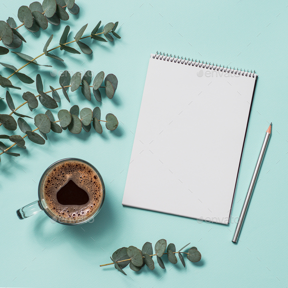 Blank paper notebook and eucalyptus. copy space - Stock Photo - Images