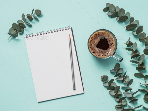 Blank paper notebook and eucalyptus. copy space - Stock Photo - Images