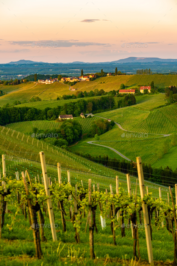 South styria vineyards landscape, near Gamlitz, Austria, Europe. Grape hills view from wine road in - Stock Photo - Images