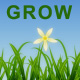 Growing Grass and Flowers - VideoHive Item for Sale