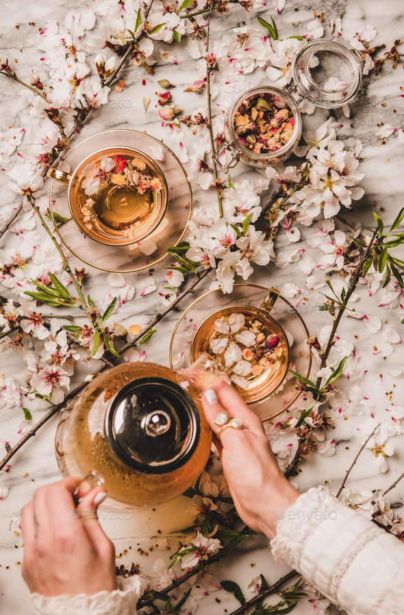 Female hands holding teapot with black tea over blossom flowers - Stock Photo - Images