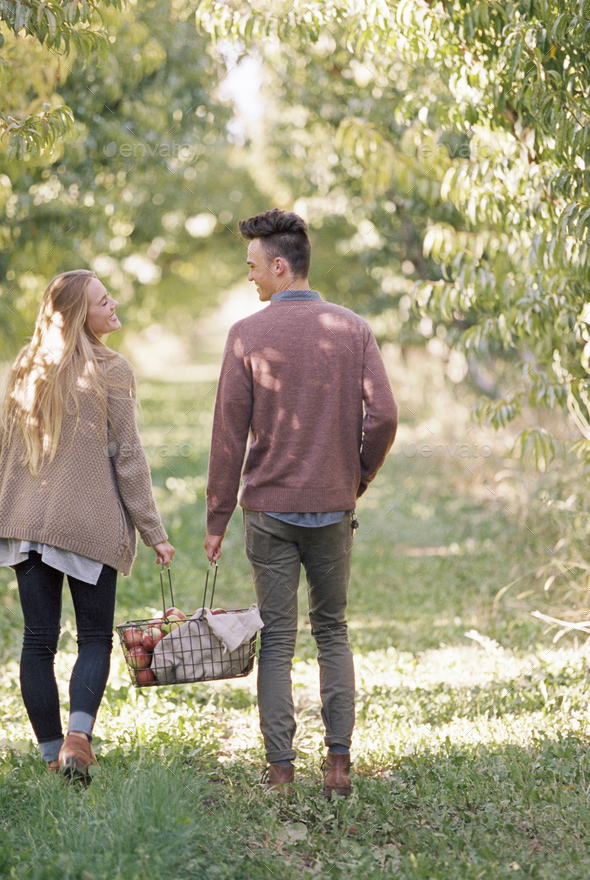 Apple orchard. Couple carrying a basket of apples. - Stock Photo - Images